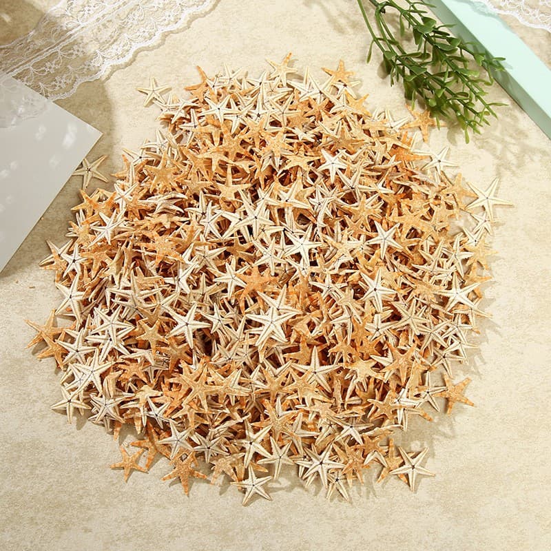 Personalized DIY Classic Materials Natural Small Starfish Shells Drift Bottle Accessories Micro Landscape Materials Mini Starfish