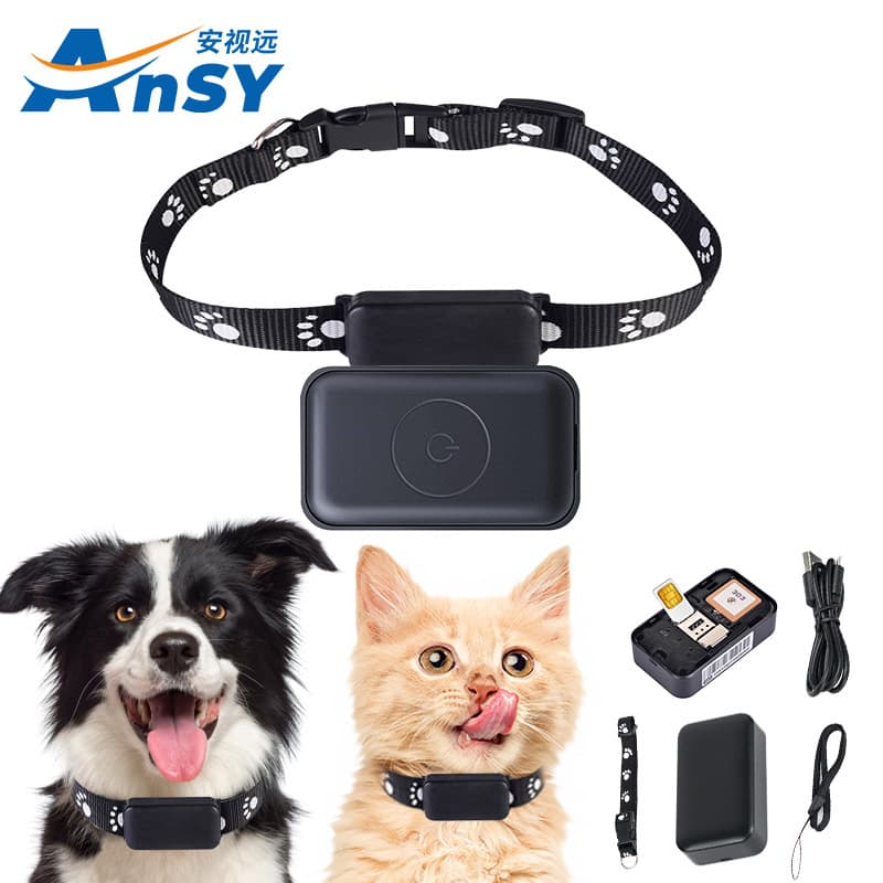 P03 smart wireless new model locator for cats and dogs, detachable lanyard anti-loss collar pet tracker