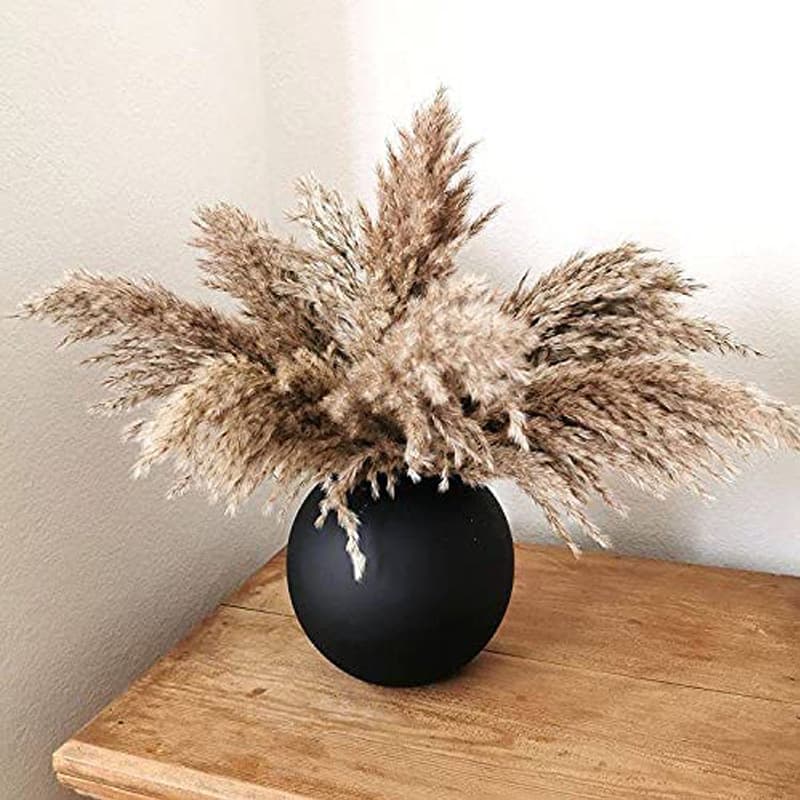 Amazon Best-Selling Dried Reed Flower Bouquet Home Wedding Decoration Soft Furnishing Fluffy Pampas Grass Dried Flowers