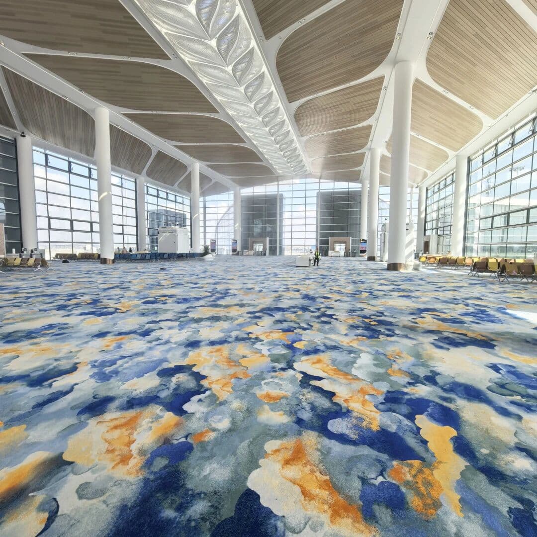 Public Area Carpet Color Pattern Reference