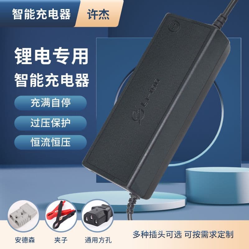 12V 24V Lithium Battery Charger, High Power Energy Storage Power Supply, LiFePO4 Electric Vehicle Battery Charger, Wholesale Factory