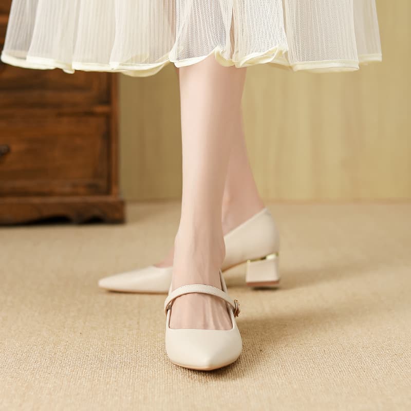 2025 Mary Jane Women's Shoes with Chunky Heel, Soft Leather Pointed Toe, Low-Cut Mid-Heel Casual Versatile Thick Sole