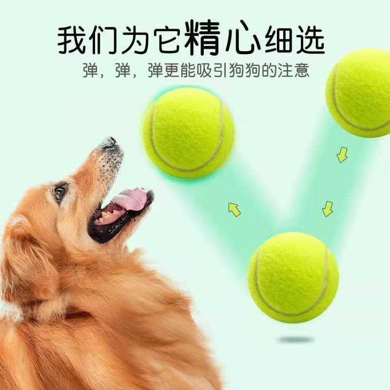 Dog toy ball, Golden Retriever Teddy bouncy ball, chewable tennis ball, pet puppy, Labrador puppy training.