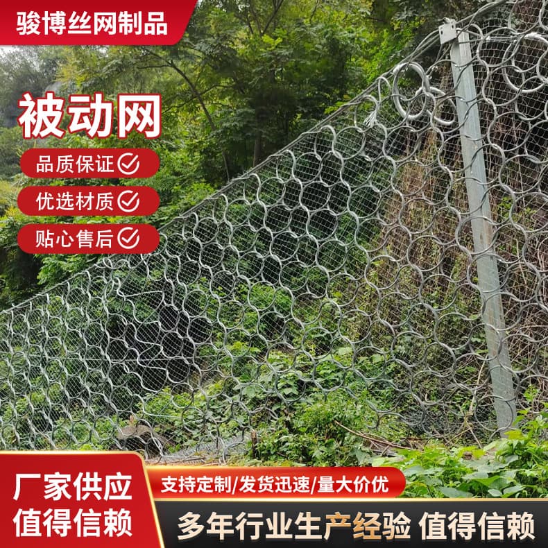 APS Flexible Slope Protection Net Rockfall Protection Net Mountain Engineering Active Protection Net Twisted Wire Mesh Ring Net