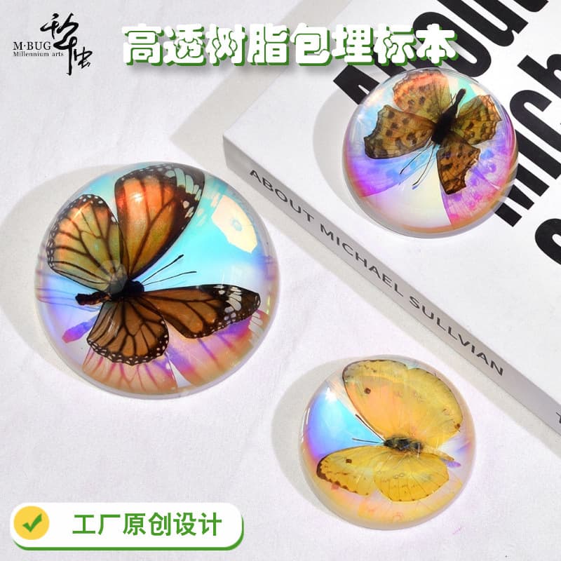 Real butterfly, amber insect specimen, resin ornament, artistic transparent semicircle ornament, children's gift