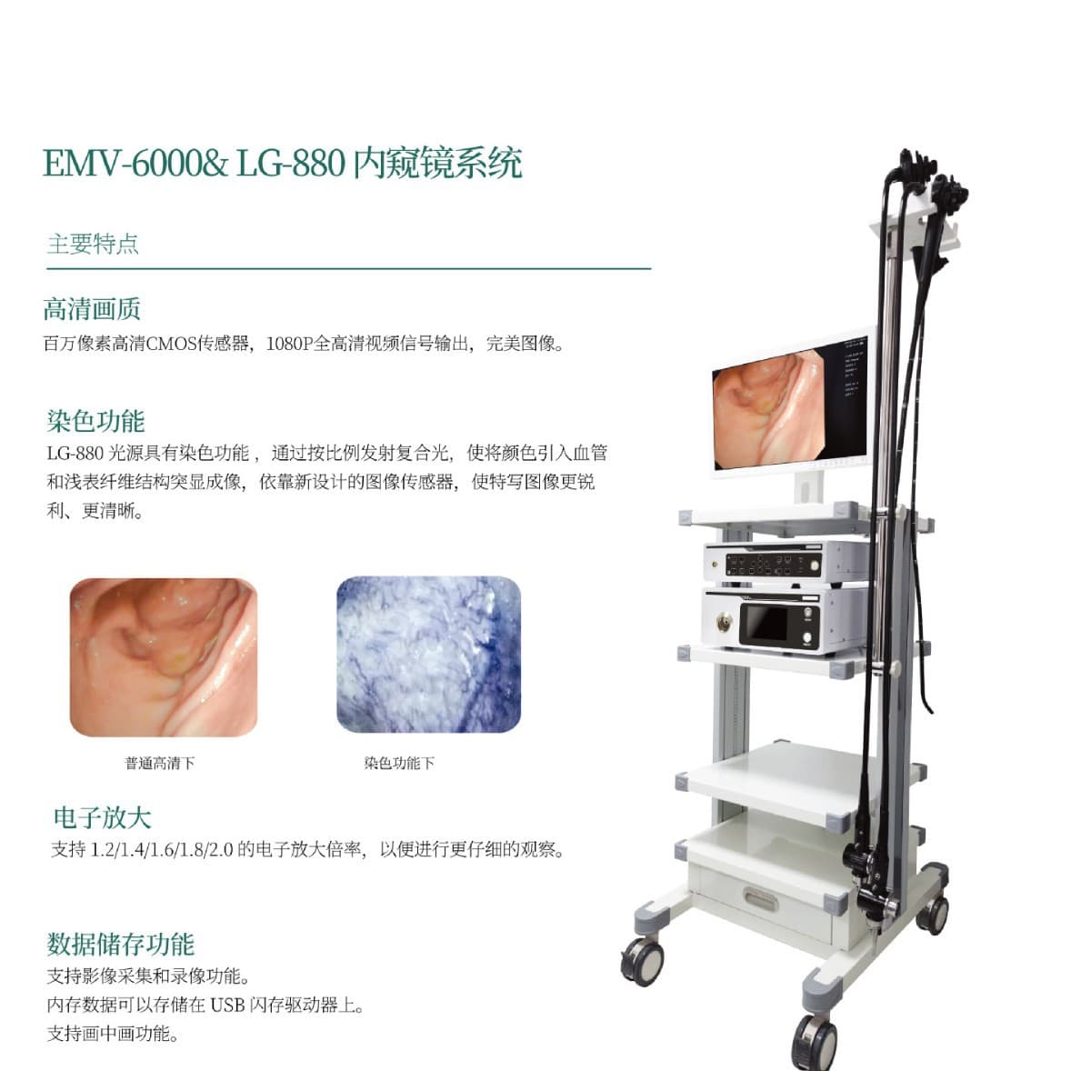 Discount Domestic Endoscope Medical Gastroscope Colonoscope Electronic Flexible Scope Veterinary Medical Equipment