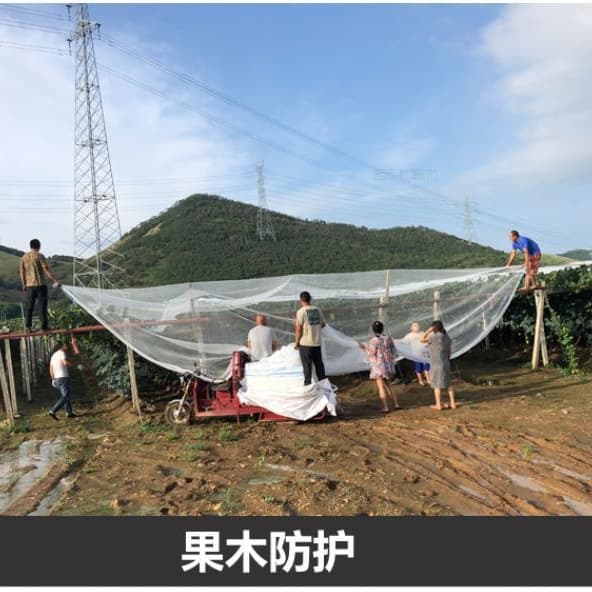 Yihaomei Brand Cross-border Supply Double-Line Polyethylene Woven Triangular Hail Nets for Mountain Orchards