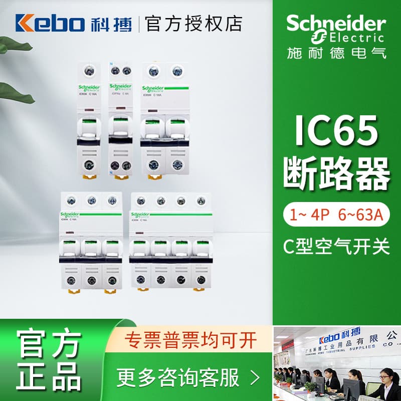Schneider Mini Circuit Breaker Air Switch IC65N/A9 Series for Home, 6~63A Small Breaker