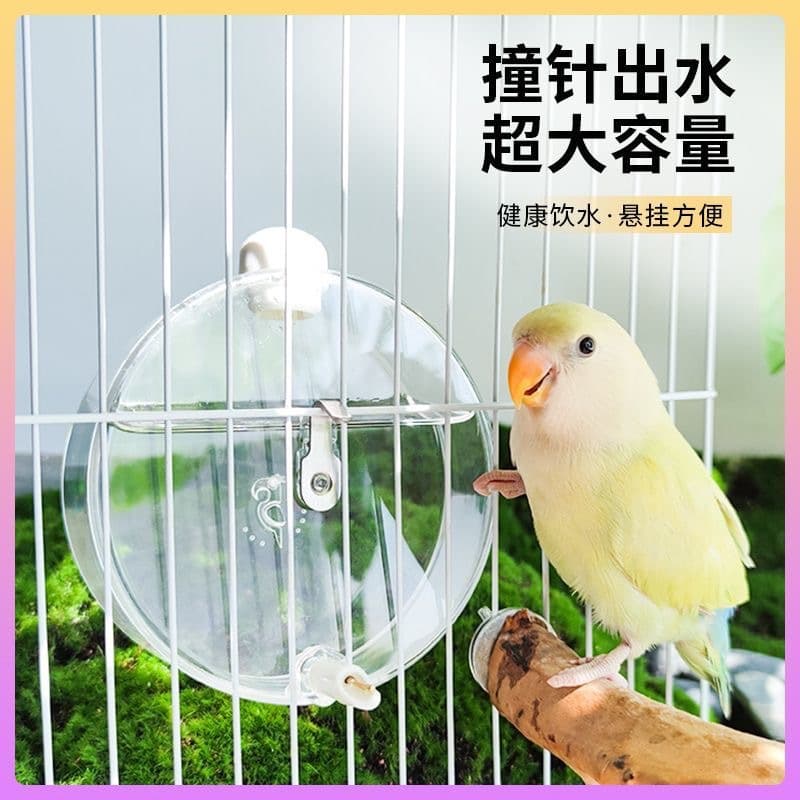 Parrot Pin Water Bottle Bird Drinker Cockatiel Automatic Water Feeder Hanging Large Capacity Transparent Odorless Water Bottle