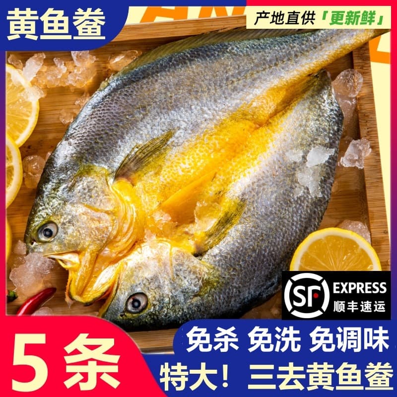 Fresh Frozen Yellow Croaker from Ningde Xiapu, Salted Yellow Croaker, Gutted Small Yellow Croaker, Seafood, Marine Fish, Commercial Use