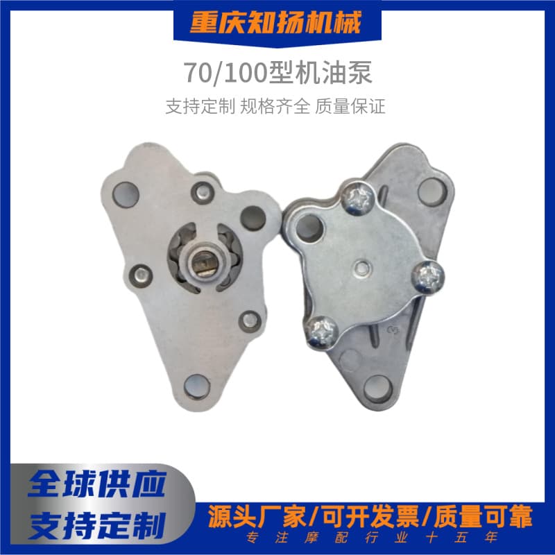 Chongqing Jialing JH70 Oil Pump Assembly CD70 CD110 Oil Pump 70 110CC Motorcycle Engine Parts