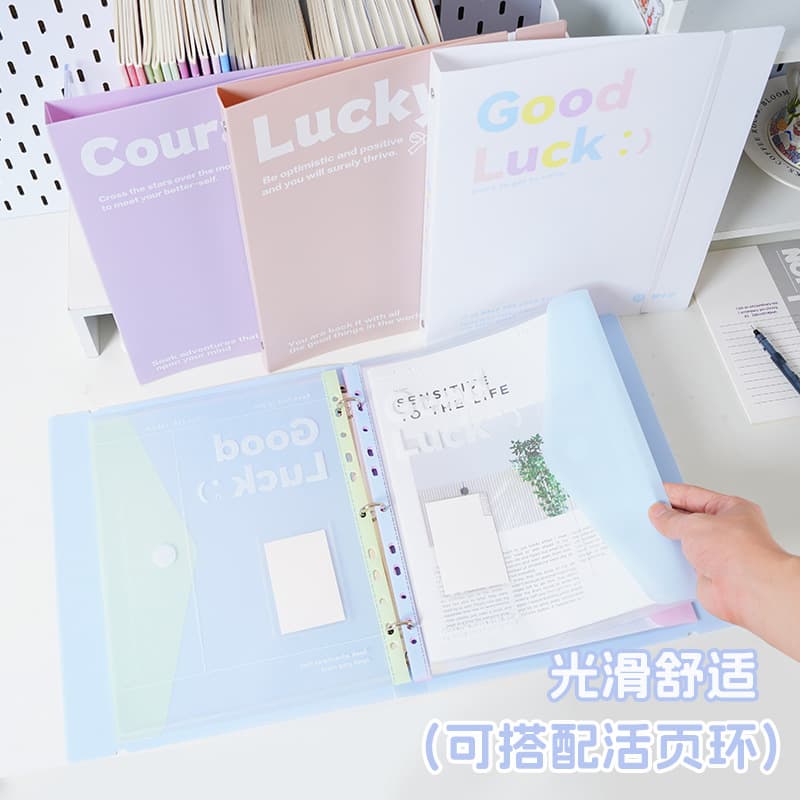 Clear Sheet Protectors for Loose-Leaf Binder, Exam Paper Organizer, Study Document Storage Pockets
