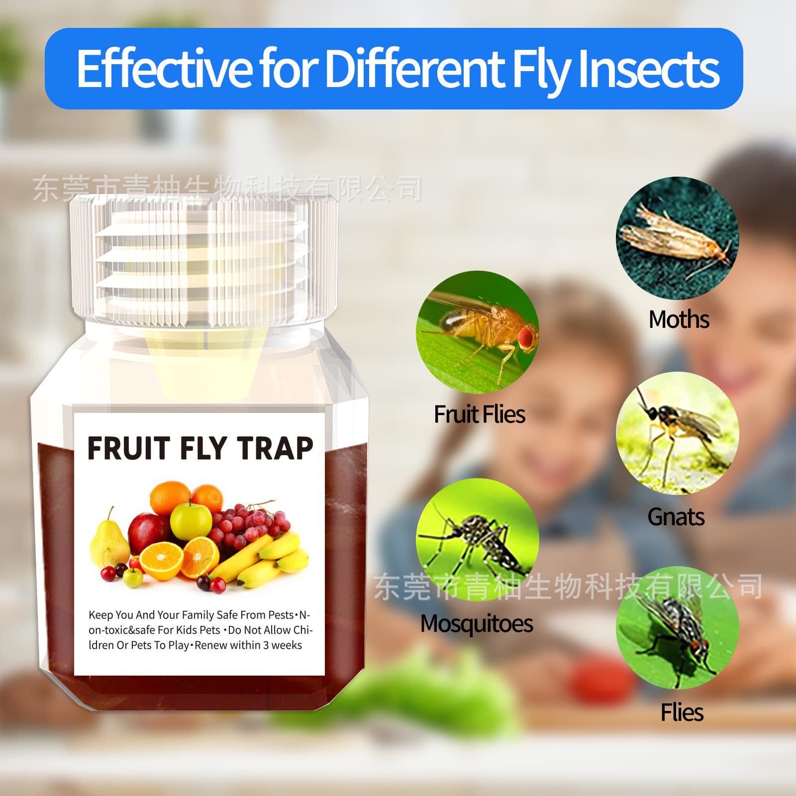 Square bottle fly and fruit fly trap with bait, effective for catching bees and flies, includes 20ml liquid attractant.