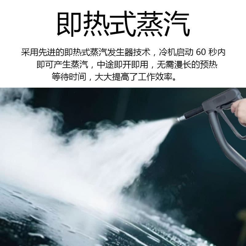 High Temperature Spray and Extraction All-In-One Instant Steam Cleaning Machine Commercial Car Washing Equipment Car Beauty High Pressure Car Washing Machine