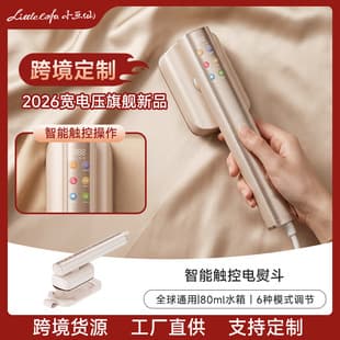 Xiao Huaxian Handheld Steam Iron Home Use Portable Garment Steamer Small Electric Iron Wide Voltage