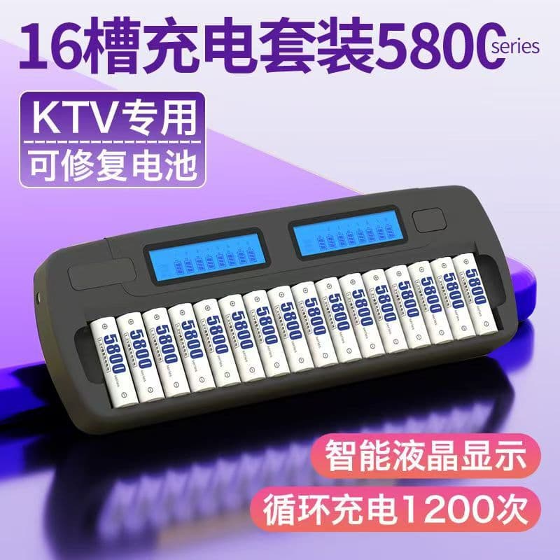 Delipu Rechargeable Battery AA High Capacity KTV Microphone AAA Universal Charger Set Compatible with AA and AAA Batteries