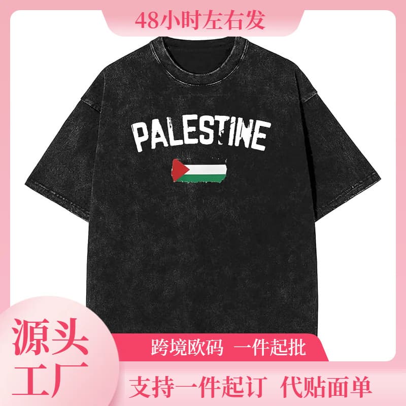 Patine Flag Washed T-Shirt Mens Patinian Streetwear Casual T