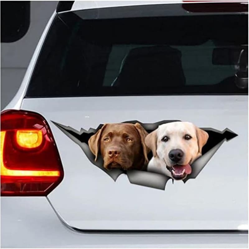 Labrador
