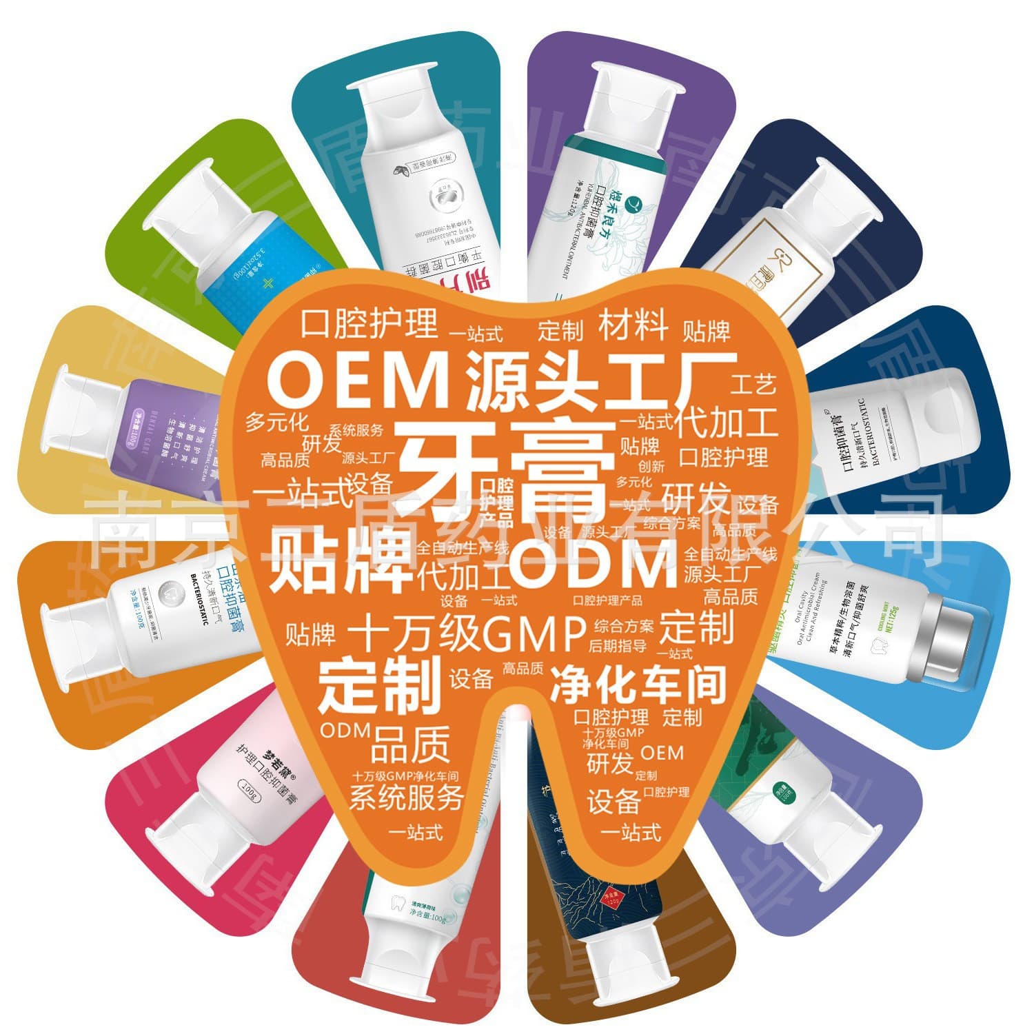 Traditional Chinese Medicine Toothpaste with Bio-Lysozyme, Honeysuckle Toothpaste, Orthodontic Firming Toothpaste, OEM Custom Manufacturer
