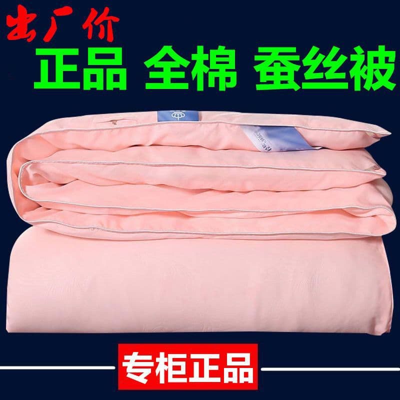 Tongxiang Silk Duvet, Mulberry Silk Spring/Autumn Air-Conditioning Quilt, Thick Warm Winter Two-in-One Comforter Cross-Border Trade
