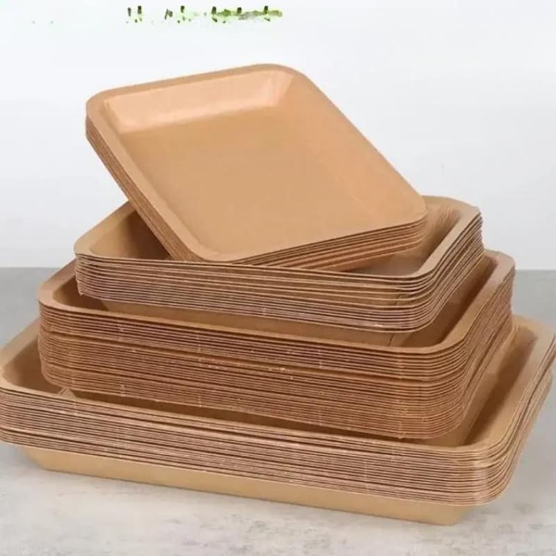 Disposable Paper Lunch Box Square Paper Plate Snack Tray with Fruit BBQ Tray Simple and Practical