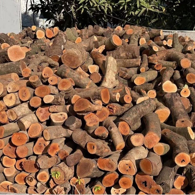 Fireplace wood lychee wood steak steak fruit wood campfire log dry firewood home kitchen China Haojing wholesale