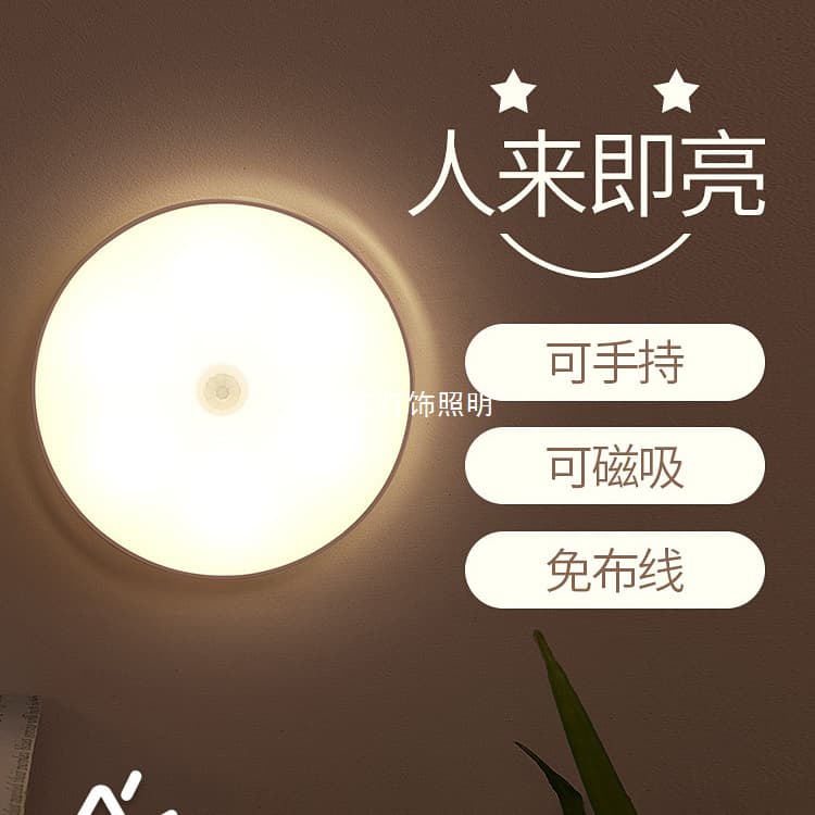 Smart Human Auto Sensor Night Light for Hallways and Corridors Lights Up on Motion Night Light for Bathroom 2025 New Model