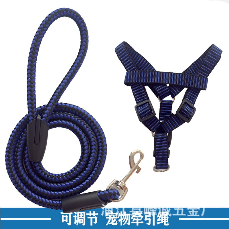 Dog Leash for Walking, Suitable for Teddy, Golden Retriever, Large, Medium, Small Dogs, Dog Collar and Chain