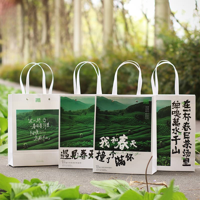 New Spring Tea Tote Bags: Green Tea, New Tea Packaging Bags, Pre-Qingming Longjing, Biluochun, Huangshan Maofeng, Anji White Tea Gift Sets