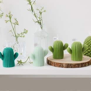 Wenxin Cactus Candle Silicone Mold DIY 3D Cactus Plaster Diffuser Stone Aromatherapy Candle Mold
