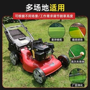 Hanjiang Push Lawn Mower High Power Gasoline Grass Trimmer Honda Engine Self-Propelled Grass Cutter