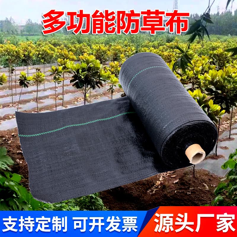 New Gardening Ground Cover with PE Perforated Weed Control Fabric for Orchards and Greenhouses
