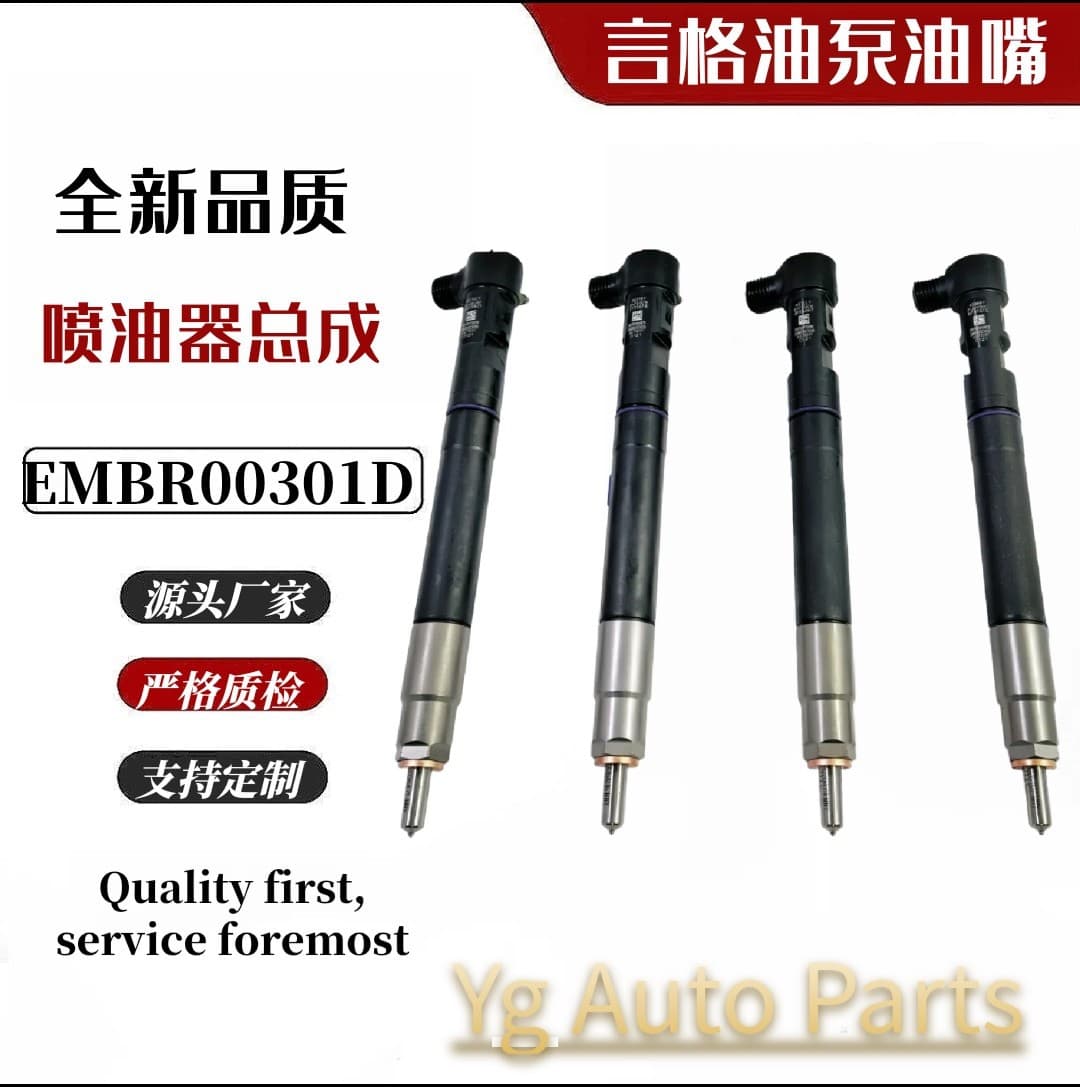 A6710170121 EMBR00301D Common Rail Injector for Delphi SsangYong New Injector