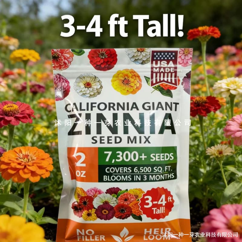 Cross-border New Product In Stock USA Heirloom Zinnia Seeds Pure and Adulterant-Free Color-Packaged Flower Varieties