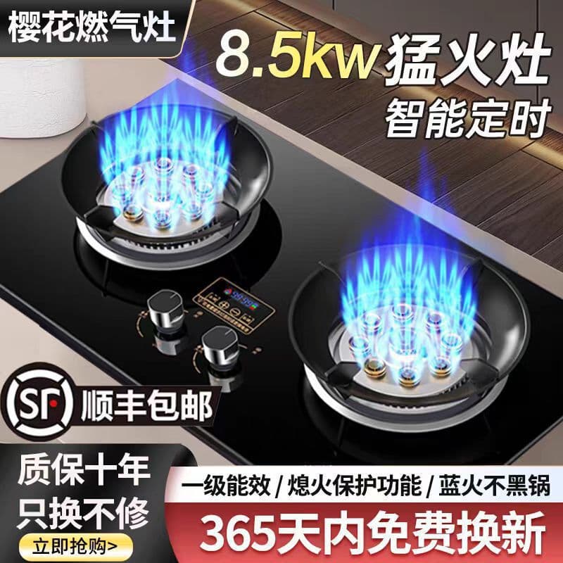 Yinghua Gas Stove Double Burner Home Use Tabletop LPG/Natural Gas Built-in Energy Saving High Power