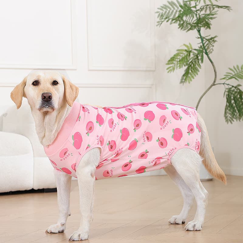 New Pet Large Dog Velcro Recovery Suit Spay Suit Weaning Anti-Lick Anti-Harassment Cotton Breathable Post-Surgery Recovery Suit