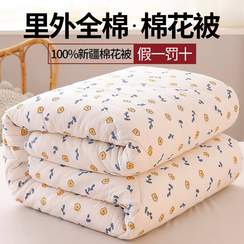 Xinjiang Cotton Quilt with Extra Thick Warm Core, Winter Cotton Padding, Spring/Autumn Thin Quilt