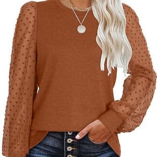 Cross-border Amazon 2026 Fall New Style Pullover Round Neck Chiffon Blouse for Women, European and American Simple Loose Fit Concealing Pure