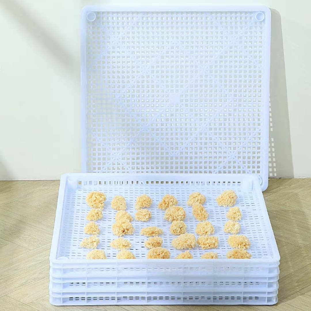Plastic Single Freezer Square Drying Frozen Thickened Tray, Shallow Mesh Basket, Food-Grade Draining Cold Storage Refrigeration
