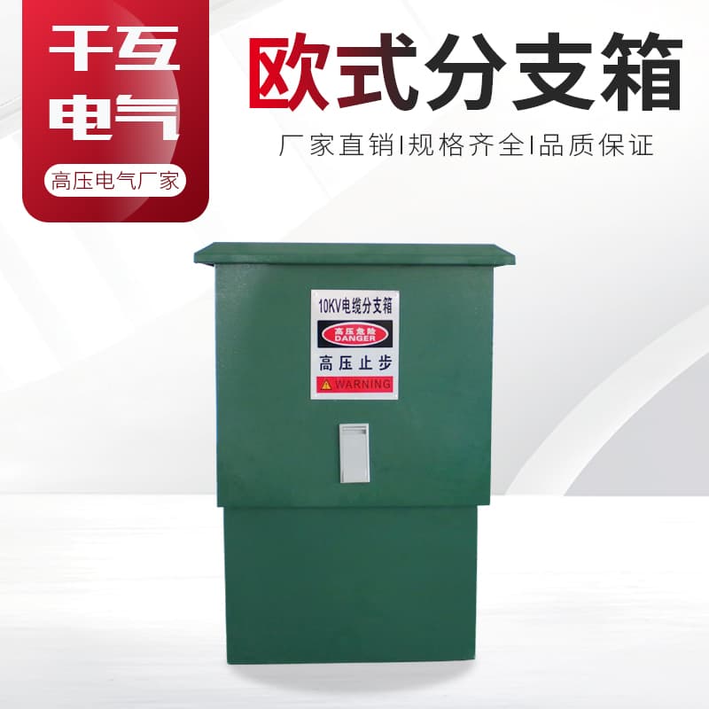 Qianhu 10KV European-Style Cable Branch Box DFW-12/630 Outdoor High-Voltage Plug and Pull Tapping Box Zhuobai