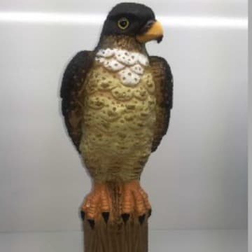 1:1 Realistic Garden Decoration Wild Small Falcon Standing in Forest, Outdoor Hunting Decoy for Bird and Rodent Repellent