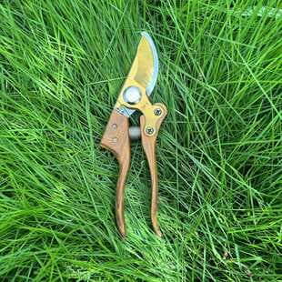 SK5 Pruning Shears Stainless Steel Strong Gardening Pruning Tree Branch Fruit Tree Garden Bonsai Flower Branch Scissors Tool