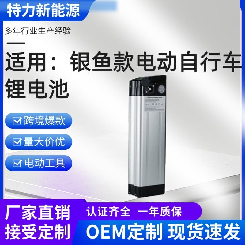 Custom Silver Fish Electric Bike Battery 24V/36V/48V Two/Three-Wheeled Electric Vehicle Lithium Battery