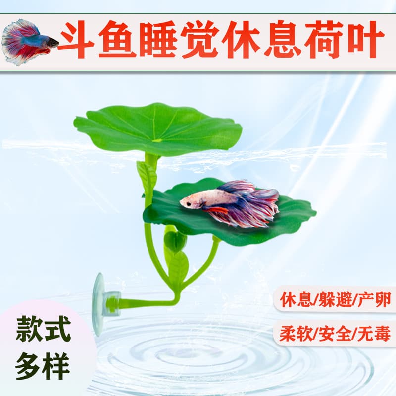 Betta Rest Leaf Hiding Leaf Spawning Leaf Lotus Leaf Simulation Sleeping Bed Fish Tank Landscaping Decoration Betta Rest Leaf