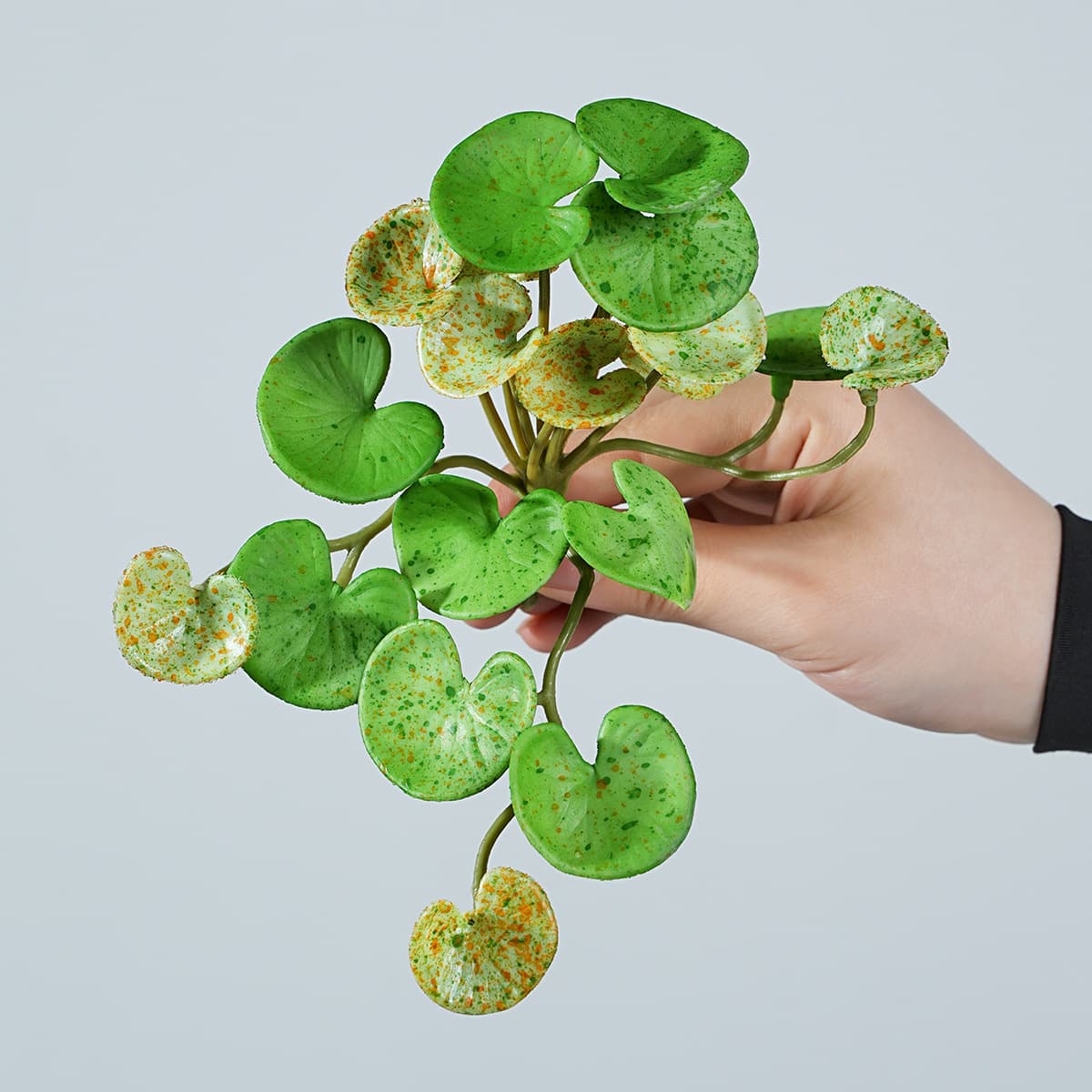 Simulated Succulent Red Anthurium Leaf Pennywort Mini Soft Rubber Home Decoration Green Plant Forest Soft Decor