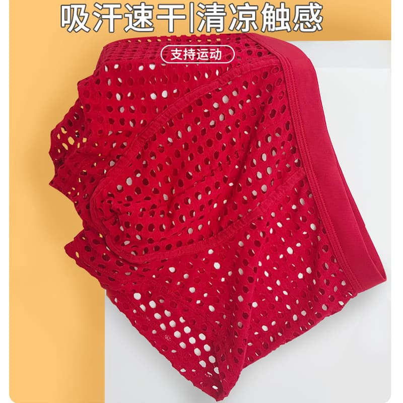 Trendy New Large Mesh Men's Underwear Breathable European Size Sexy Boxer Briefs Stock Available Multiple Colors