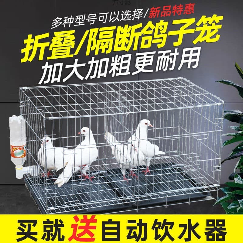 Pigeon Cage Breeding Cage Large Home Use Foldable with Partition Breeding Pairing Cage Pigeon Supplies Chicken Cage Bird Cage Wholesale