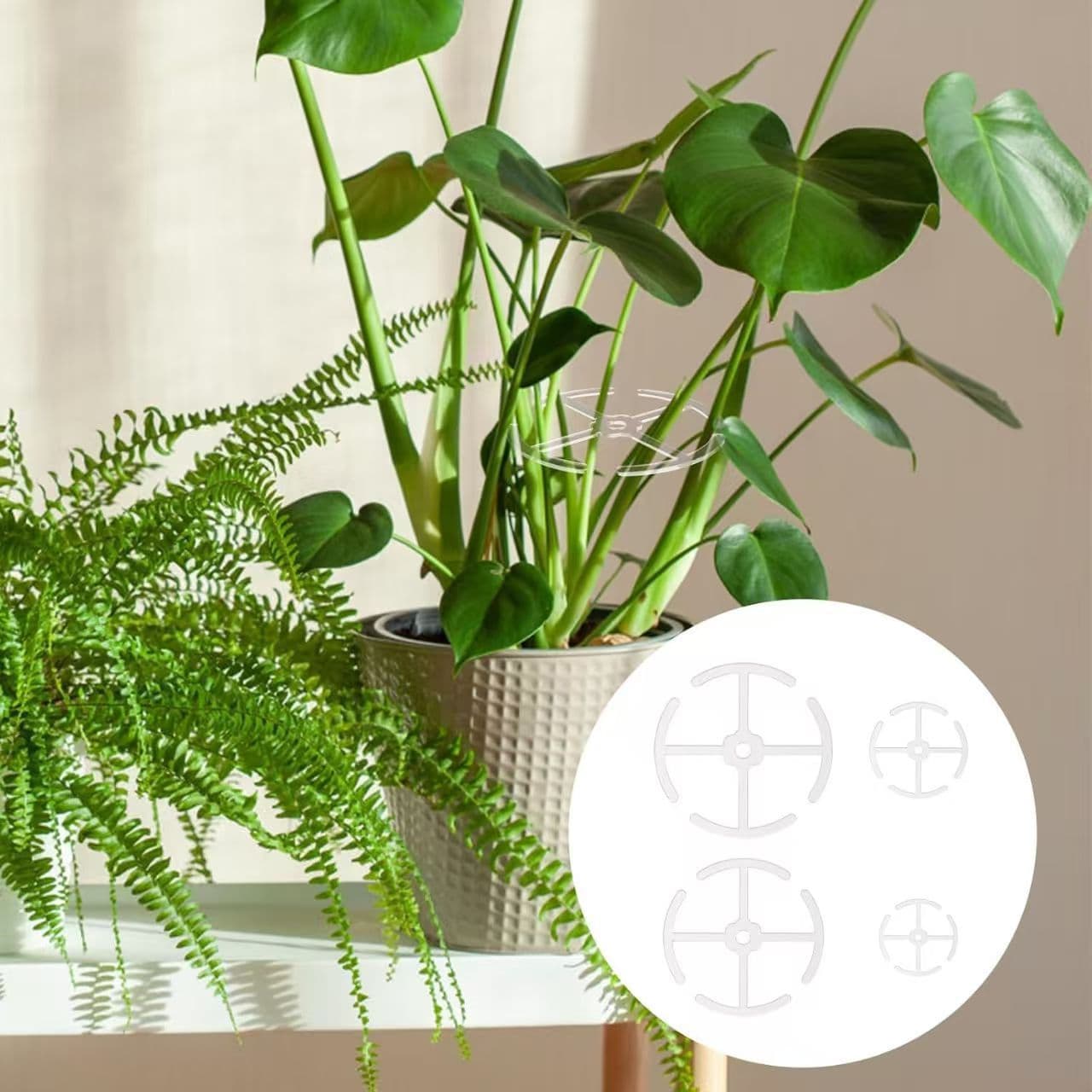 Plant Climbing Pole Holder Plastic Rock Climbing Indoor Plant Reusable Support Ring 4-Piece Set Alocasia