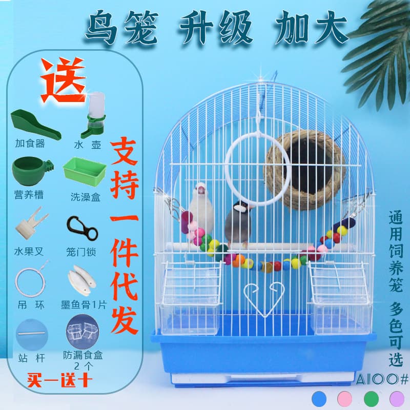 A100 Wholesale Parrot Cage, Lovebird Cage, Budgie Cage, Pet Supplies, Myna Cage
