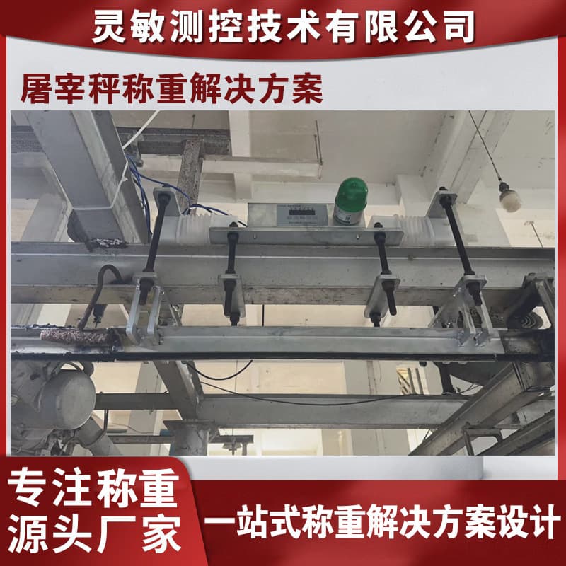 Slaughterhouse Rail Scale Weighing Solution, Suspended Rail Single/Dual Crane Scale, Commercial Static/Dynamic Automatic Hook Electronic Scale